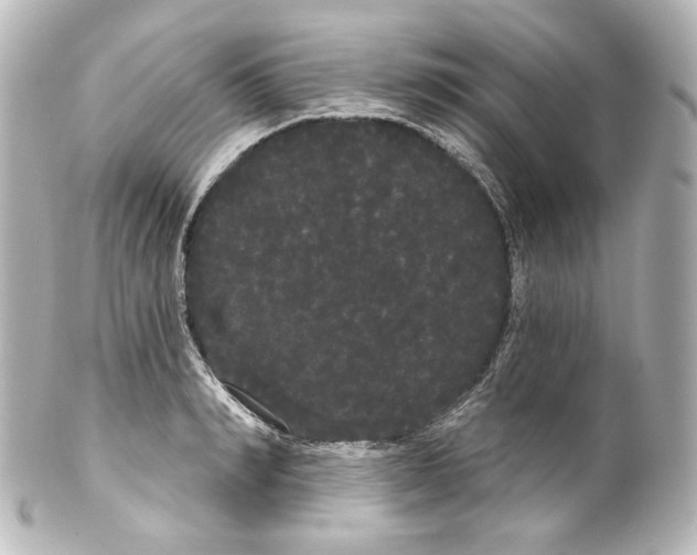 X0000100200990200806271638