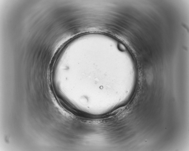 X0000100200991200806271638