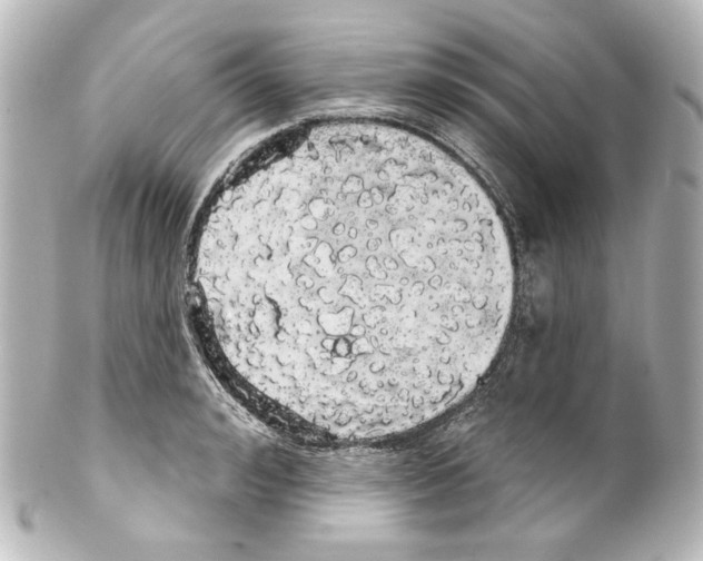 X0000100200992200806271638