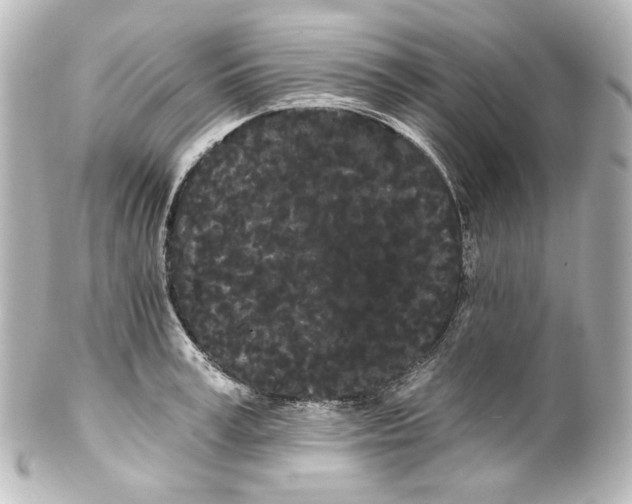 X0000100200995200806271638