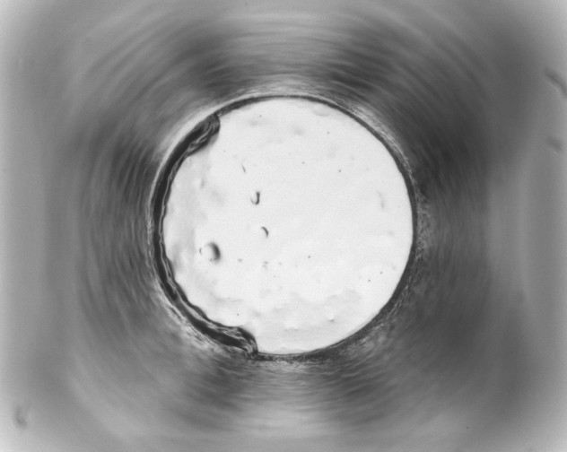 X0000100200996200806271637