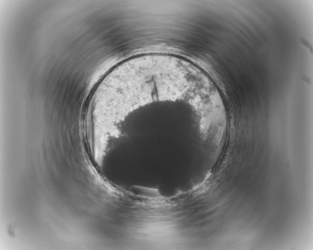 X0000100200998200806271637