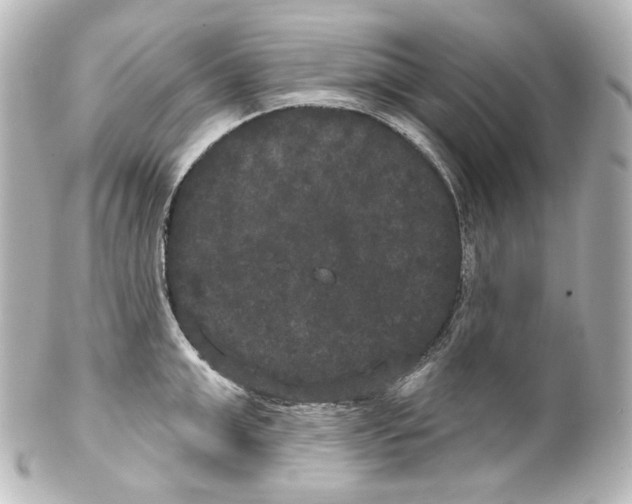 X0000100200999200806271637