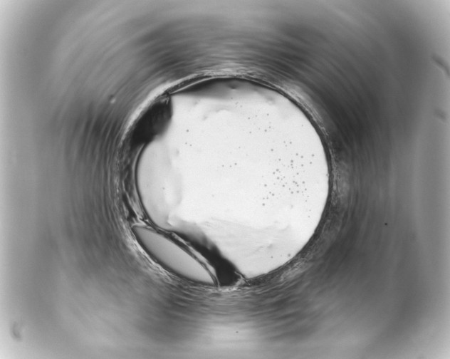 X0000100201000200806271637