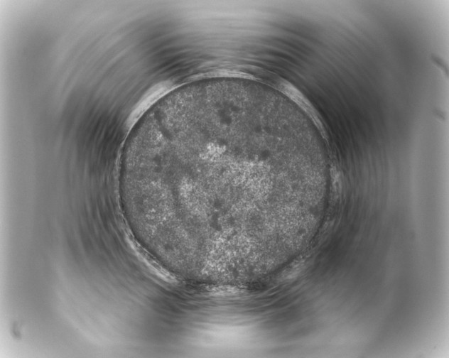 X0000100201002200806271637