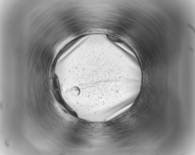 X0000100201003200806271637