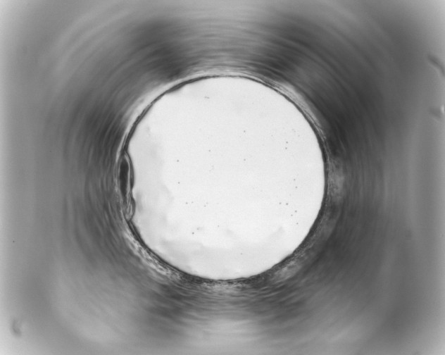 X0000100201004200806271637