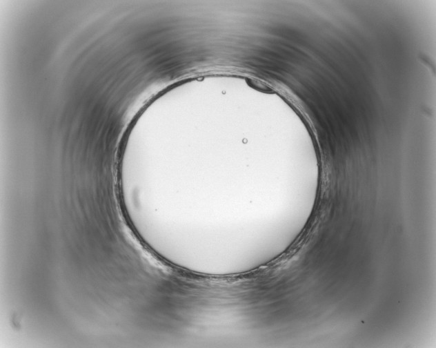 X0000100201005200806271637