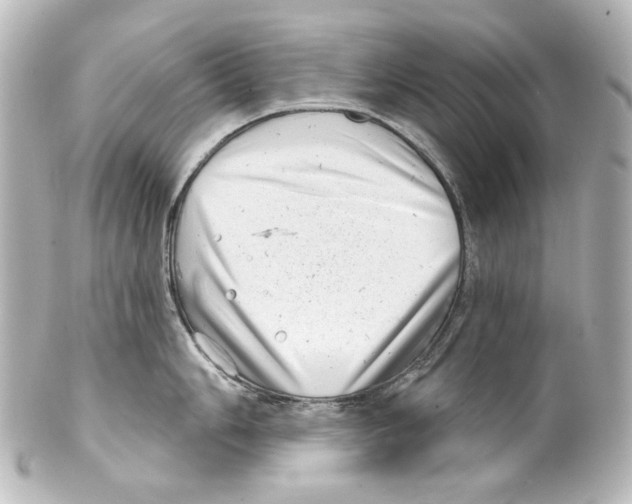 X0000100201006200806271637