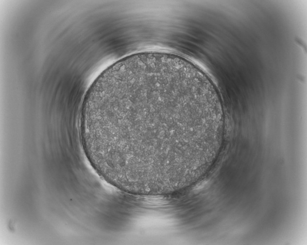 X0000100201007200806271637