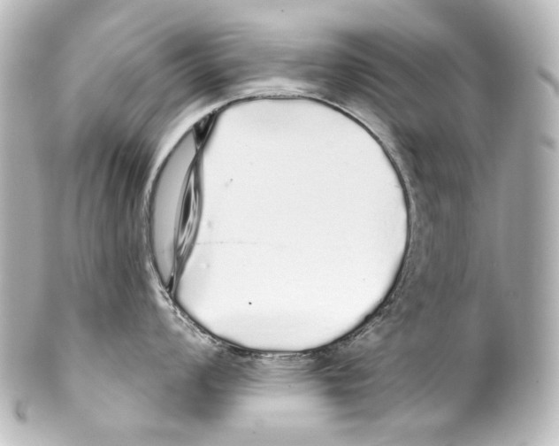 X0000100201008200806271637