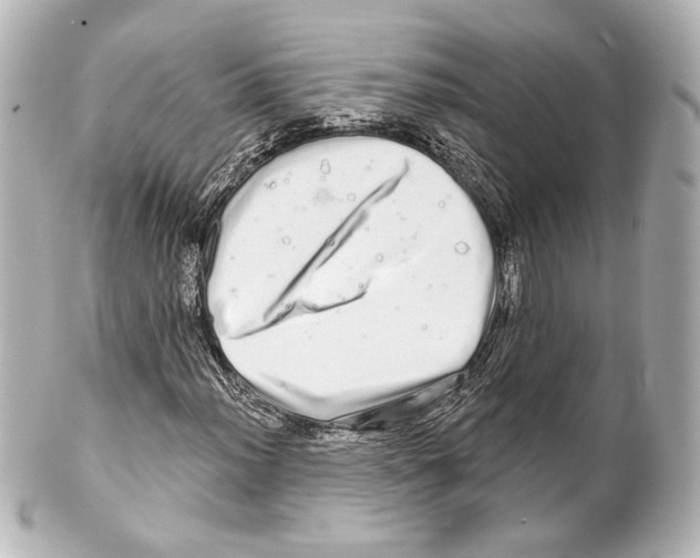 X0000100201012200806271637