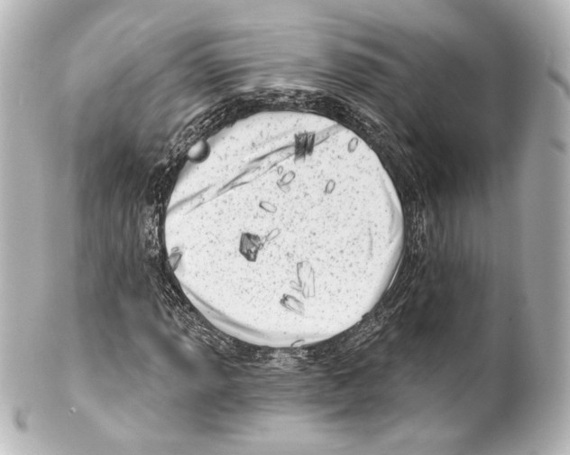 X0000100201013200806271637