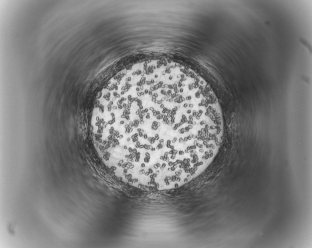 X0000100201015200806271637