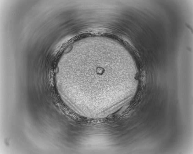 X0000100201016200806271637