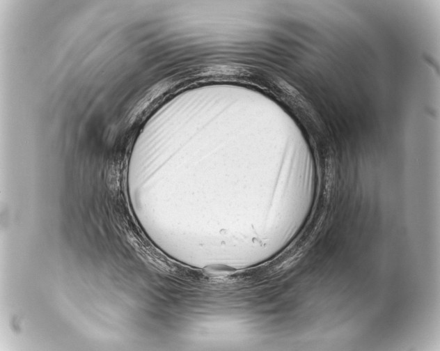 X0000100201017200806271637