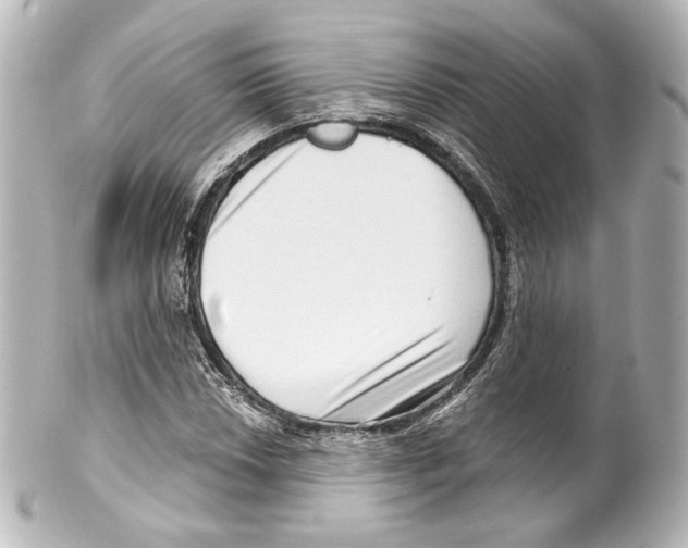 X0000100201018200806271637