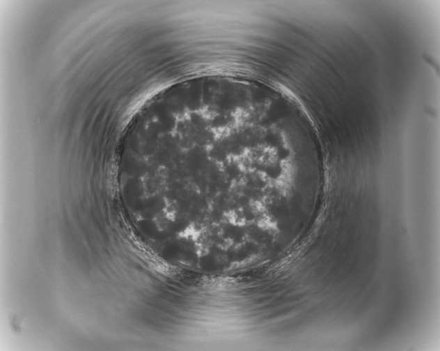 X0000100201019200806271637