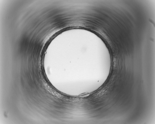 X0000100201020200806271637