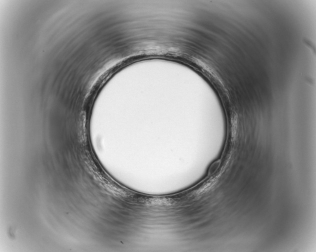 X0000100201021200806271637