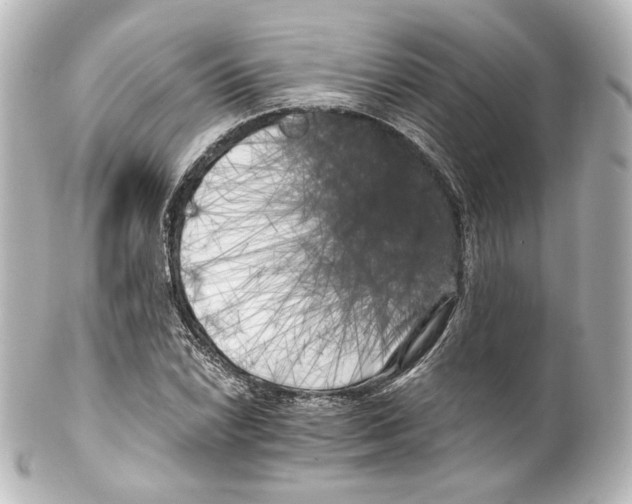 X0000100201022200806271637