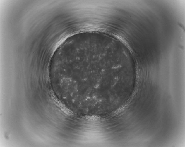 X0000100201023200806271637