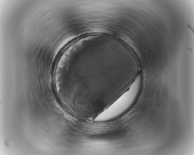 X0000100201024200806271637