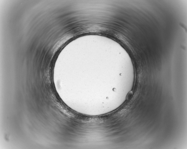 X0000100201026200806271637