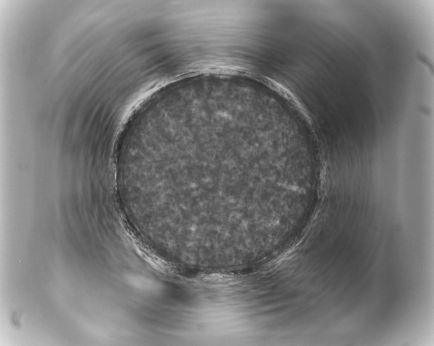 X0000100201027200806271637