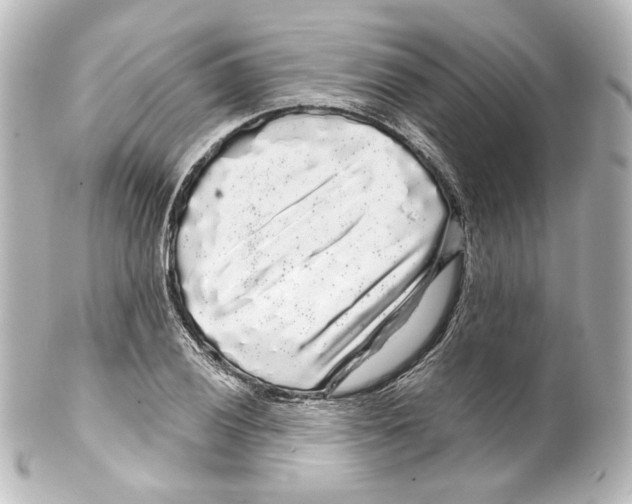 X0000100201028200806271637