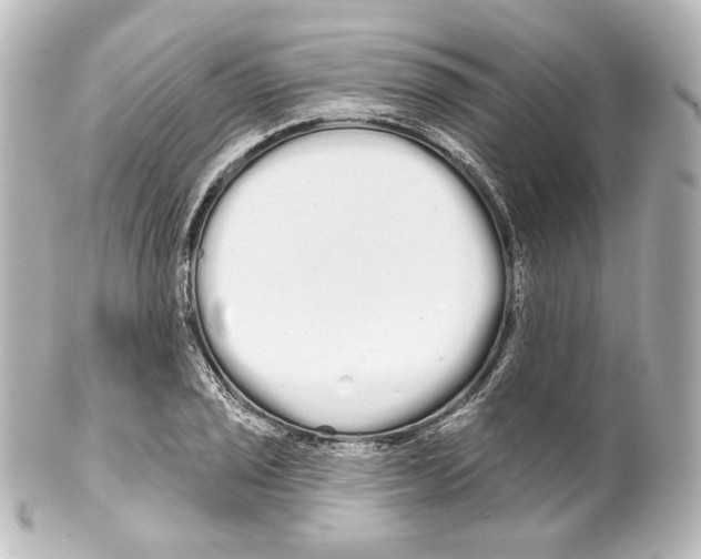 X0000100201029200806271637