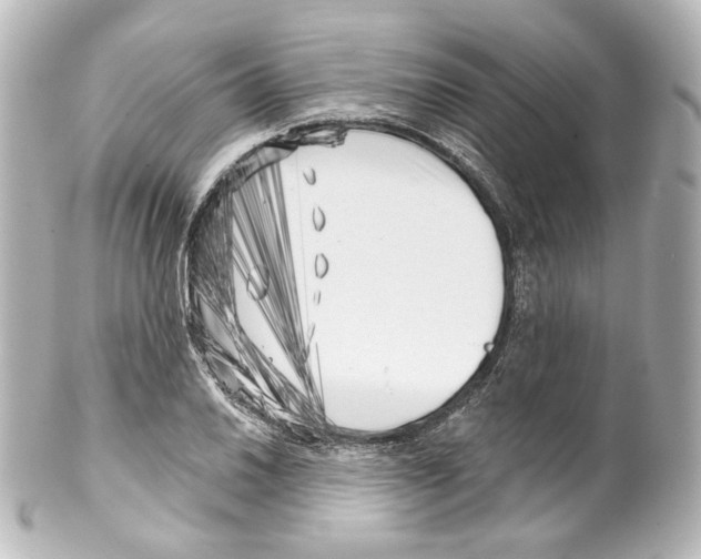 X0000100201030200806271637