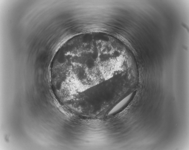 X0000100201031200806271637