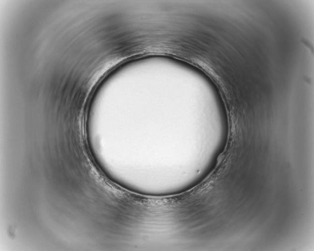 X0000100201032200806271637