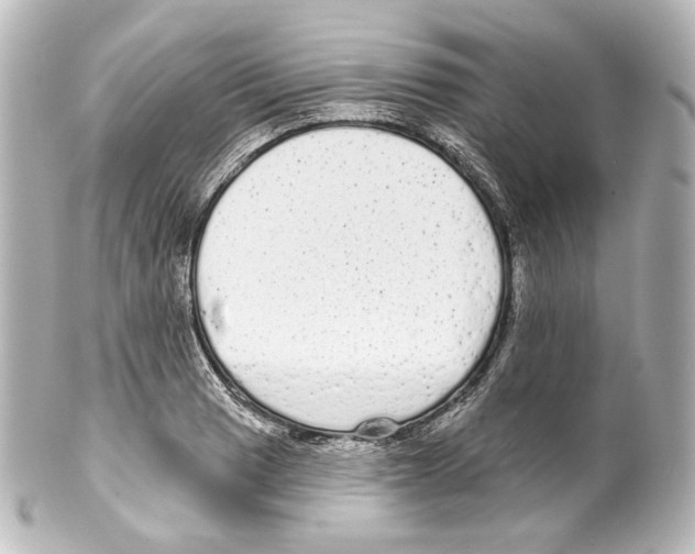 X0000100201033200806271637