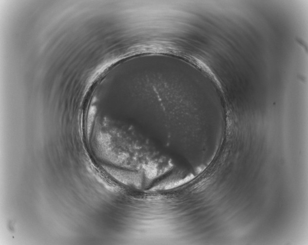 X0000100201035200806271637