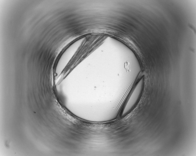 X0000100201036200806271637