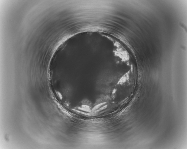 X0000100201037200806271637