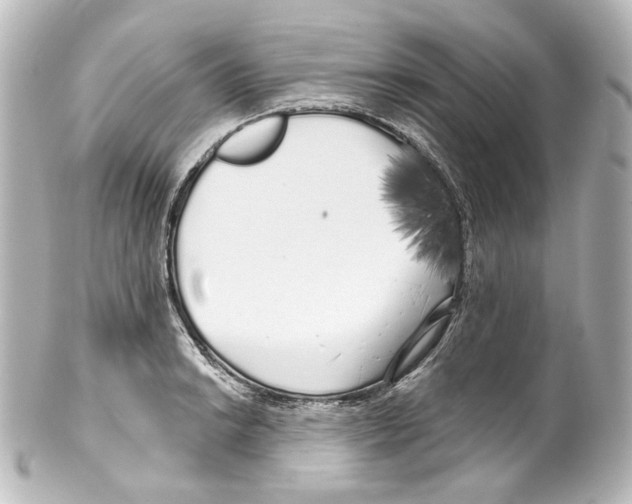 X0000100201038200806271637