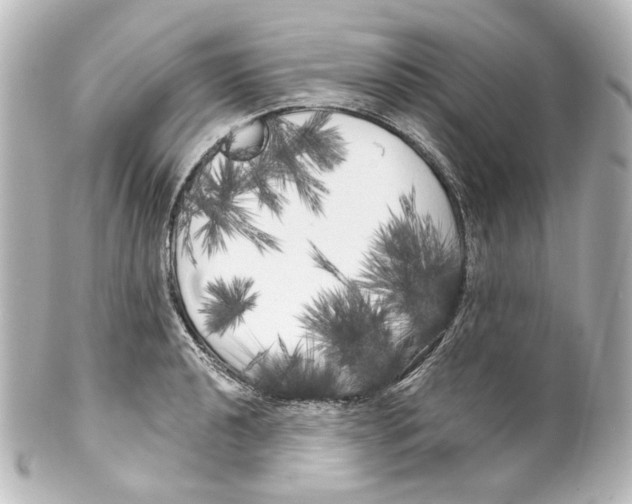 X0000100201040200806271637