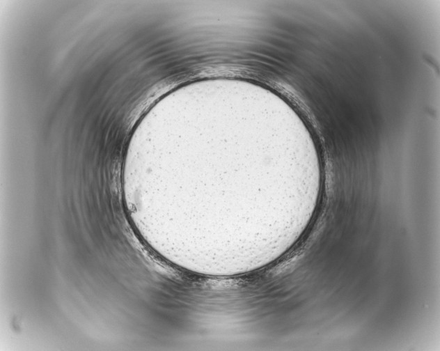 X0000100201041200806271637