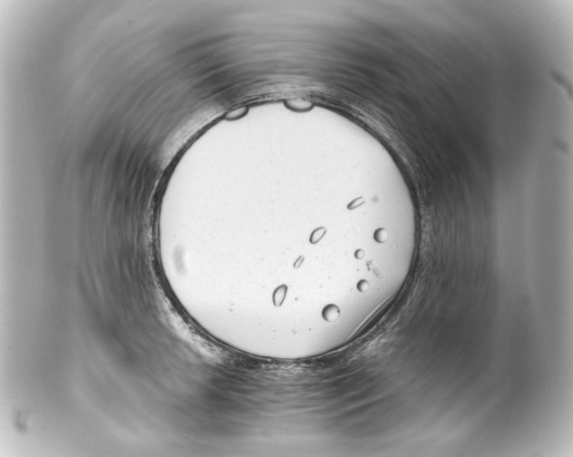 X0000100201042200806271637