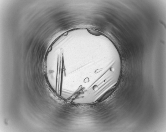 X0000100201044200806271637