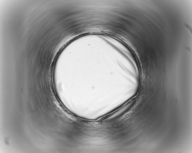 X0000100201045200806271637