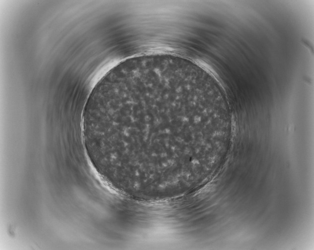 X0000100201047200806271637