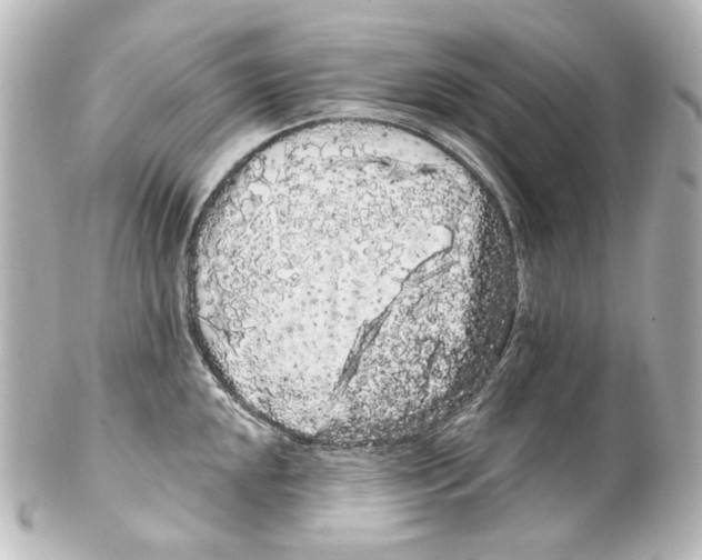 X0000100201048200806271637