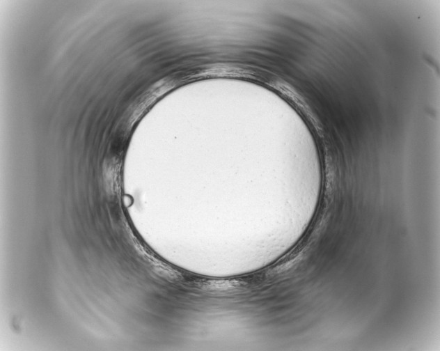 X0000100201049200806271637