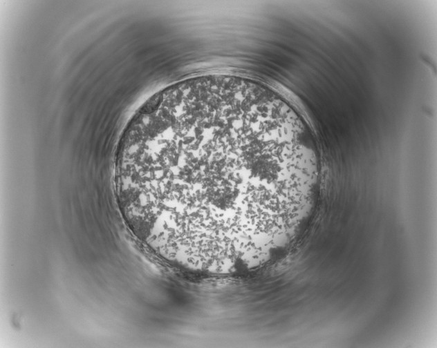 X0000100201051200806271637