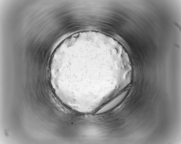 X0000100201052200806271637