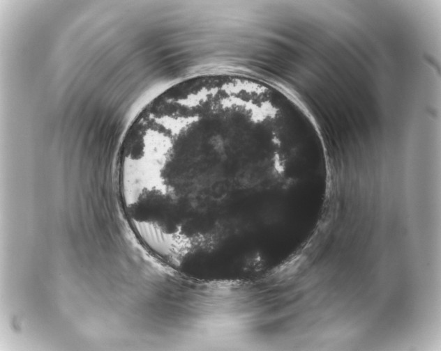 X0000100201053200806271637